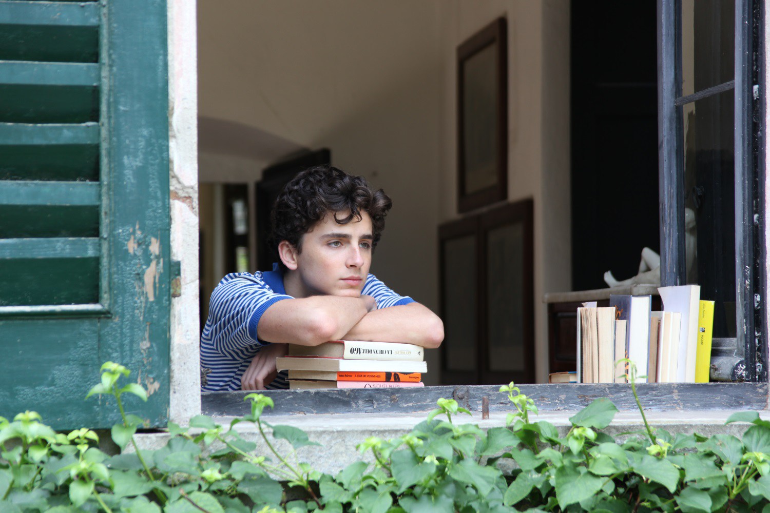 Timothée-Chalamet-Call-Me-By-Your-Name-movie