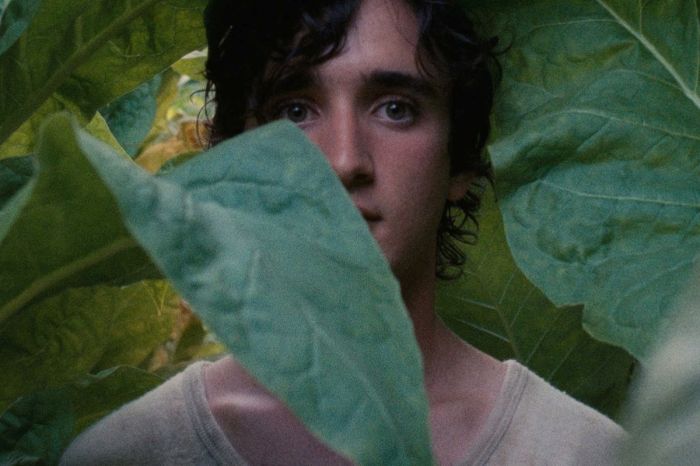 lazzaro